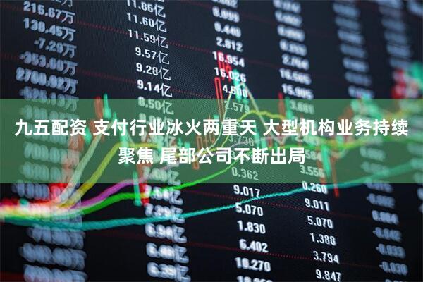 九五配资 支付行业冰火两重天 大型机构业务持续聚焦 尾部公司不断出局
