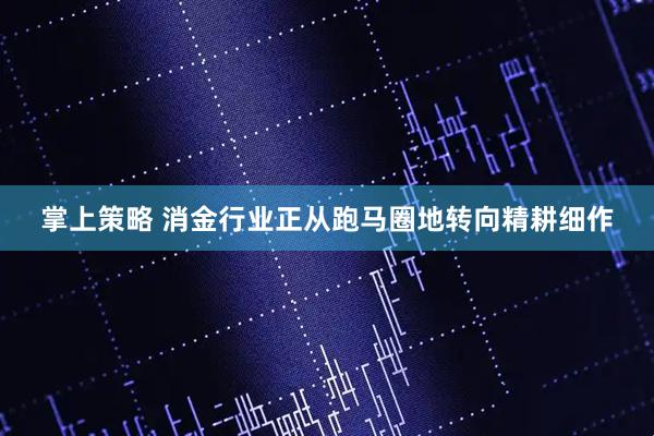 掌上策略 消金行业正从跑马圈地转向精耕细作