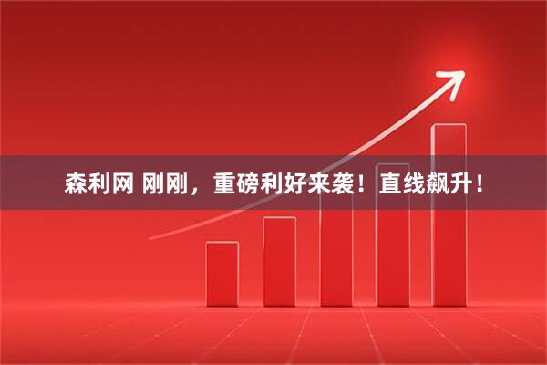 森利网 刚刚，重磅利好来袭！直线飙升！