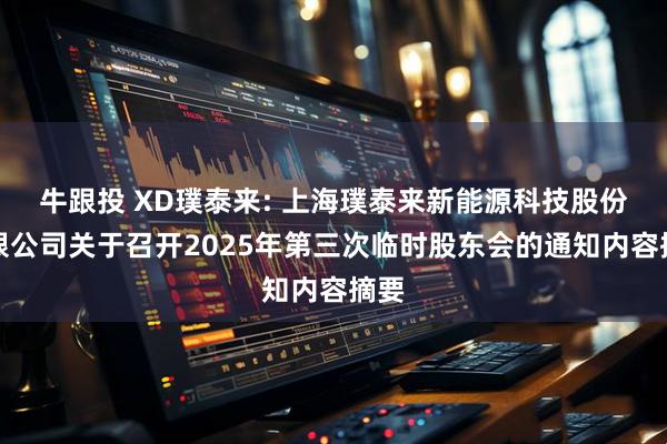 牛跟投 XD璞泰来: 上海璞泰来新能源科技股份有限公司关于召开2025年第三次临时股东会的通知内容摘要