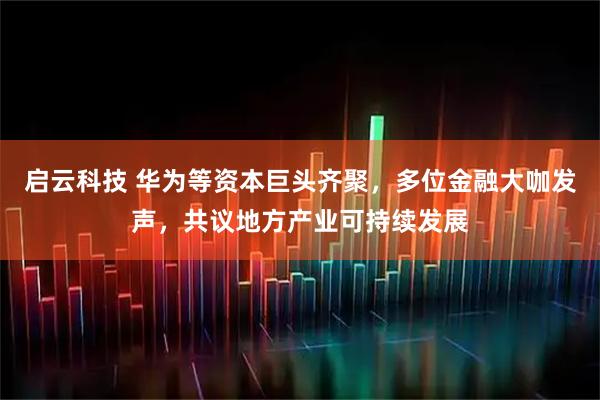 启云科技 华为等资本巨头齐聚，多位金融大咖发声，共议地方产业可持续发展