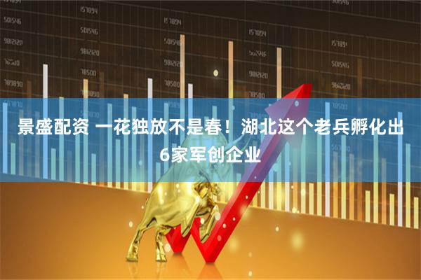 景盛配资 一花独放不是春！湖北这个老兵孵化出6家军创企业