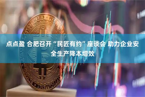点点盈 合肥召开“民匠有约”座谈会 助力企业安全生产降本增效