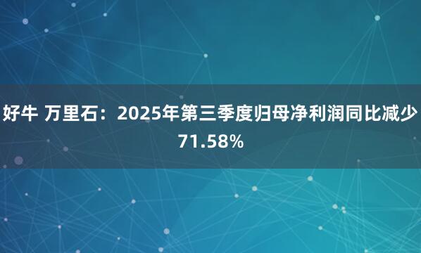 好牛 万里石：2025年第三季度归母净利润同比减少71.58%
